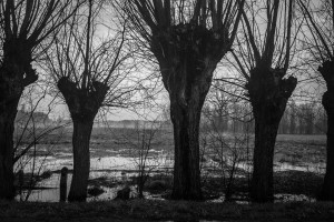 中国足球数据化转型，榜单背后隐藏着怎样的未来