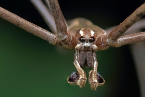 从用户行为分析,看游戏开发者如何用数据留住玩家的心 从用户行为分析,看游戏开发者如何用数据留住玩家的心